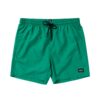 Mystic Brand Swimshorts