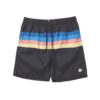 Mystic Stripe Swim Boardshort