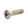 North Self-Taping Screw 6.3 x 25mm Free Strap 2pc