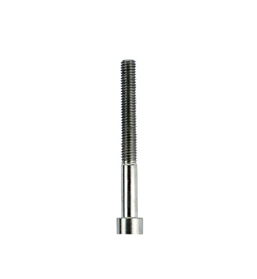 Slingshot Titanium Bolt M8x75mm